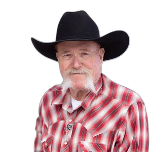 Steve Johnson